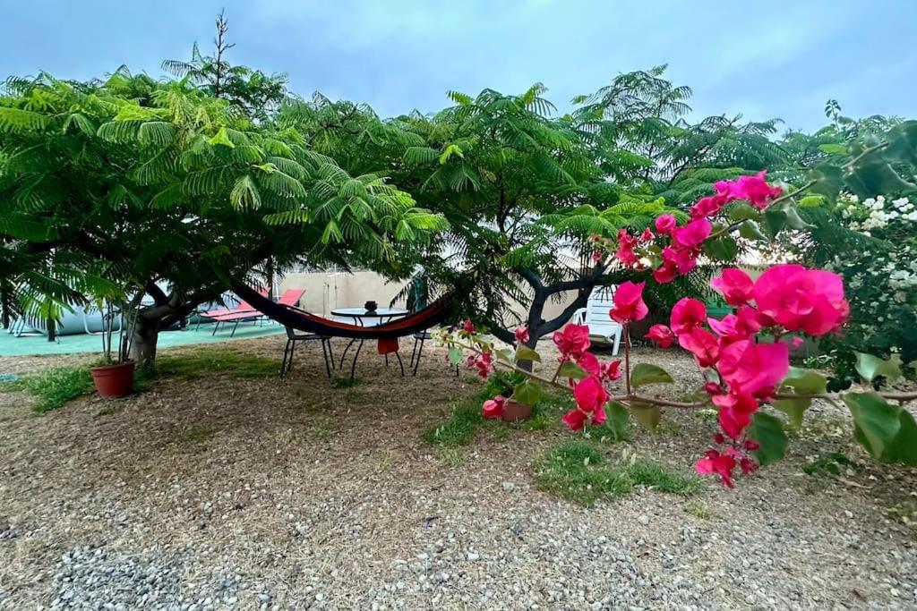 Peaceful Oasis With Magical Sea Views And A Pool Villa ซานตาครูซ เด เตเนริเฟ ภายนอก รูปภาพ
