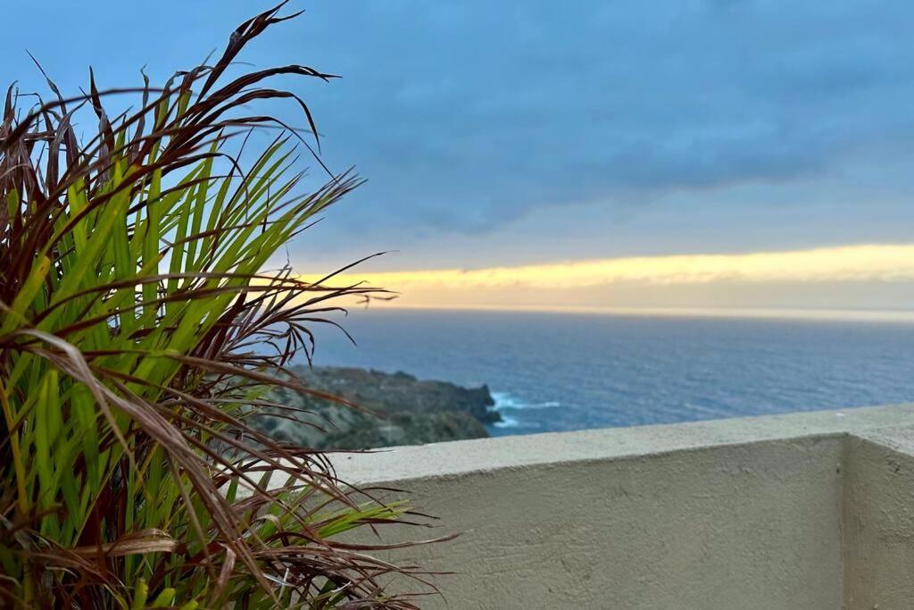 Peaceful Oasis With Magical Sea Views And A Pool Villa ซานตาครูซ เด เตเนริเฟ ภายนอก รูปภาพ