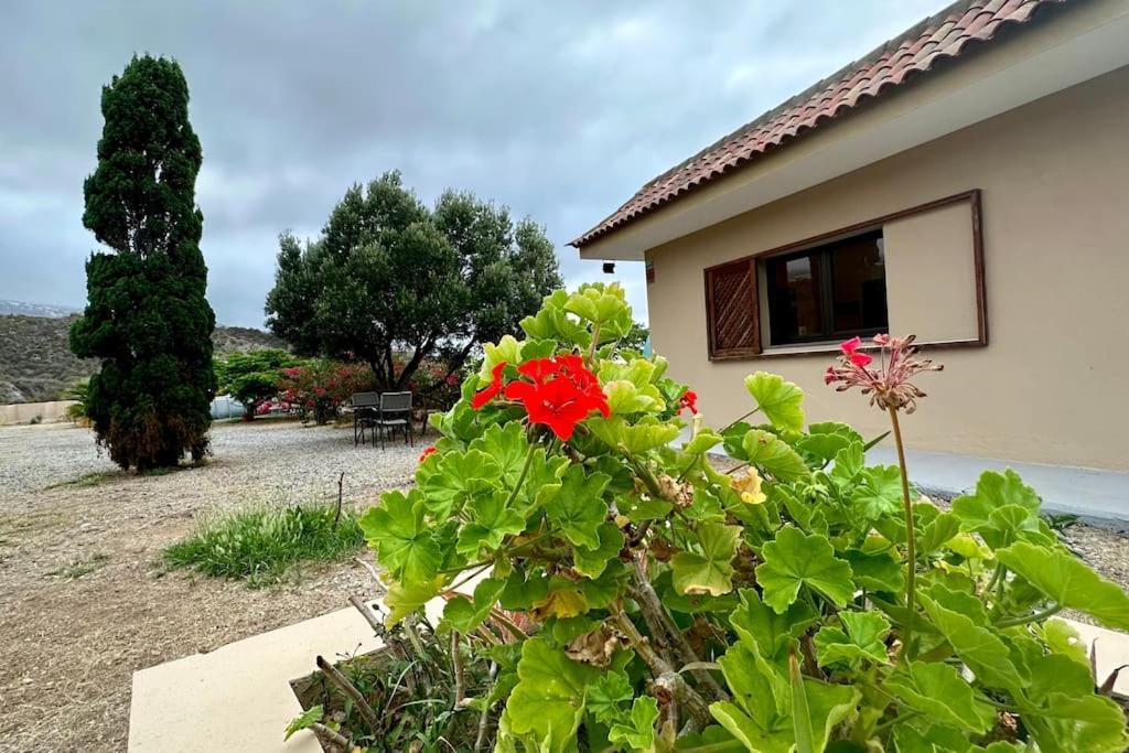 Peaceful Oasis With Magical Sea Views And A Pool Villa ซานตาครูซ เด เตเนริเฟ ภายนอก รูปภาพ